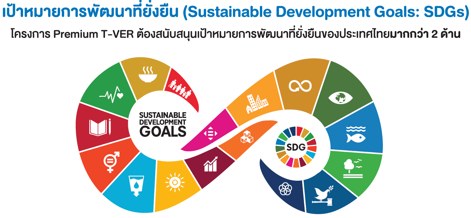 SDG TH
